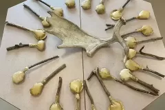 3A3BA139-B662-4092-A9EA-4B5B27D928B9-copy